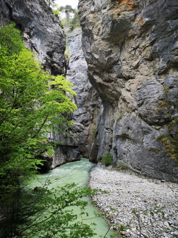 Typically Swiss Tours - 244