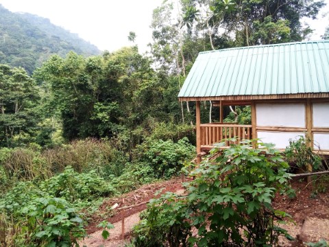 Murchison Falls - 172