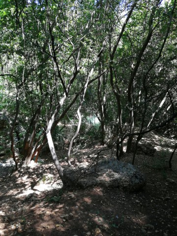 Kursunlu Waterfall - 126