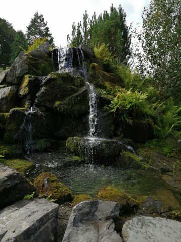 Threave Garden - 156