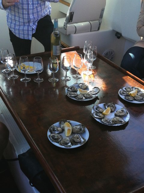 Wine Tasting In Dubrovnik - 316