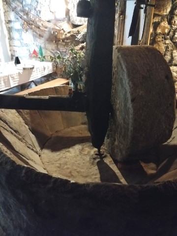 Lustica Olive Tour - 196