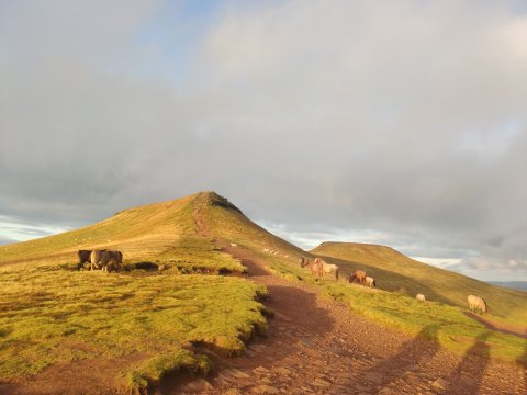 Guided Hike To The Summit Of Pen Y Fan For Sunset - 1308