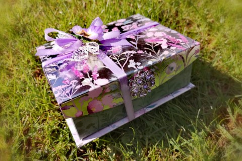 Typically Swiss Tours - 244