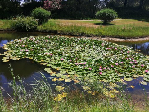 Vip Tours In Buenos Aires - 276