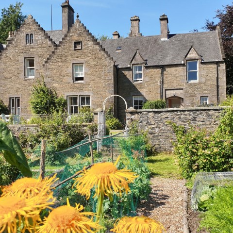 Isla Bank House  - 285