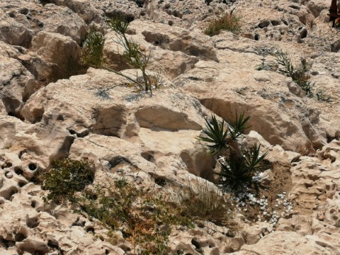 Meis Exclusive Hotel - 283