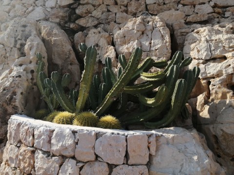 Meis Exclusive Hotel - 283