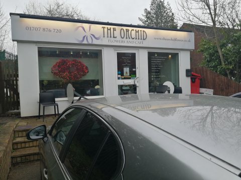 The Orchid Flowers And Cafe - 1103