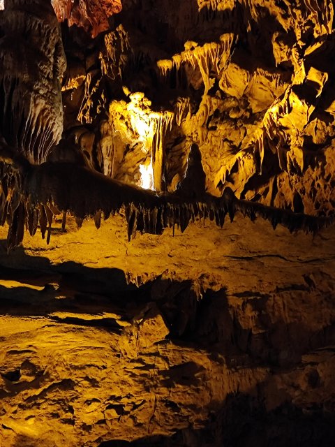 Damlataş Cave - 1173