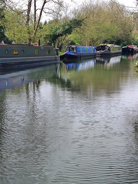 The Three Horseshoes - 1228