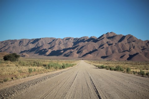 Namib Naukluft Park  - 242
