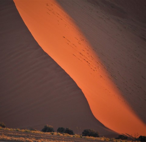 Namib Naukluft Park  - 242