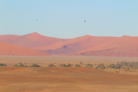 Sossusvlei  - 237
