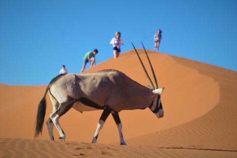 SOSSUSVLEI 