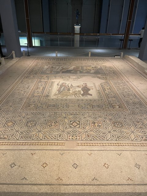 Zeugma Mozaic Museum - 1233