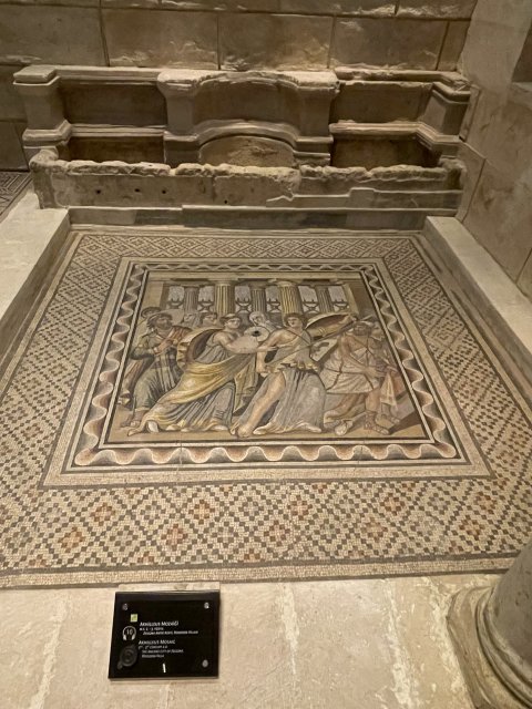 Zeugma Mozaic Museum - 1233