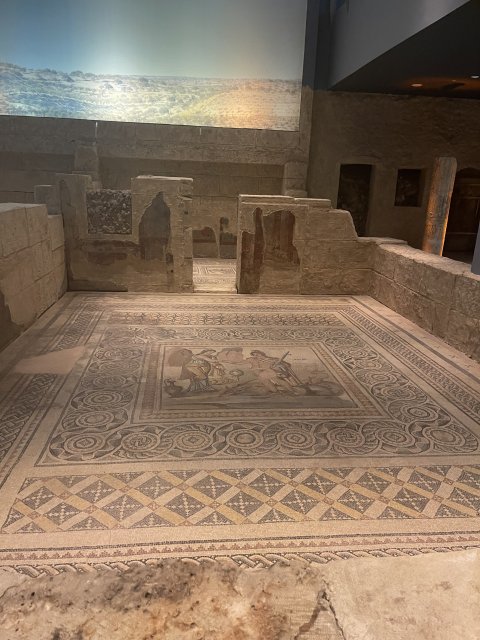 Zeugma Mozaic Museum - 1233