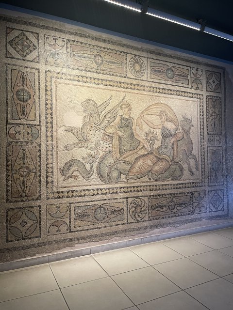 Zeugma Mozaic Museum - 1233