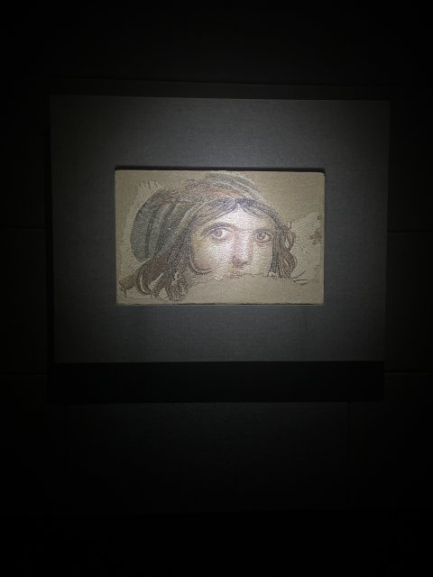Zeugma Mozaic Museum - 1233