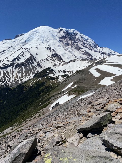 Mount Rainier National Park