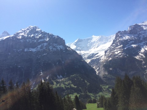 Typically Swiss Tours - 244