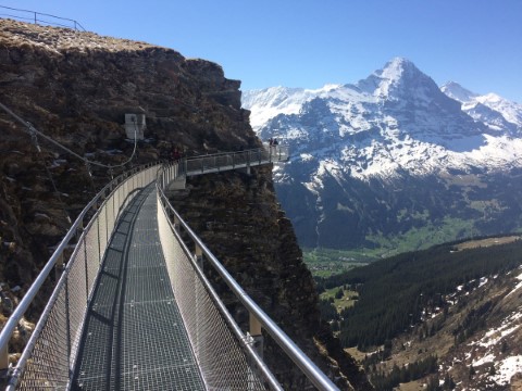 Typically Swiss Tours - 244