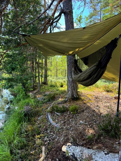 The Hammock Trail Sweden - 1392