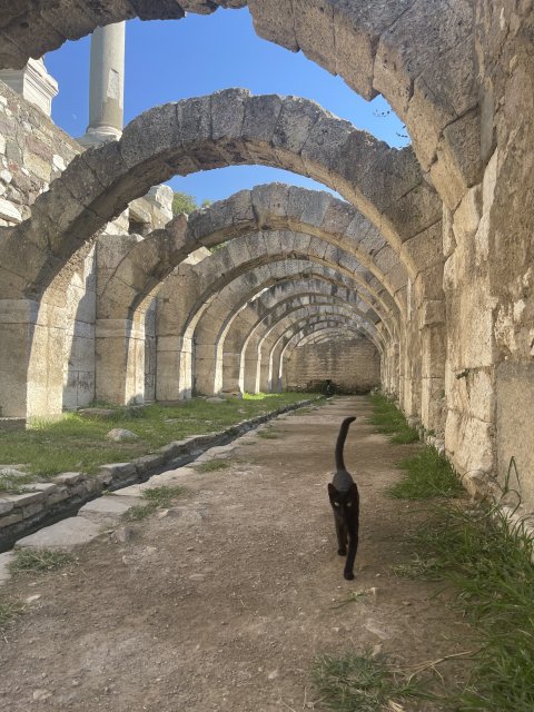 Agora