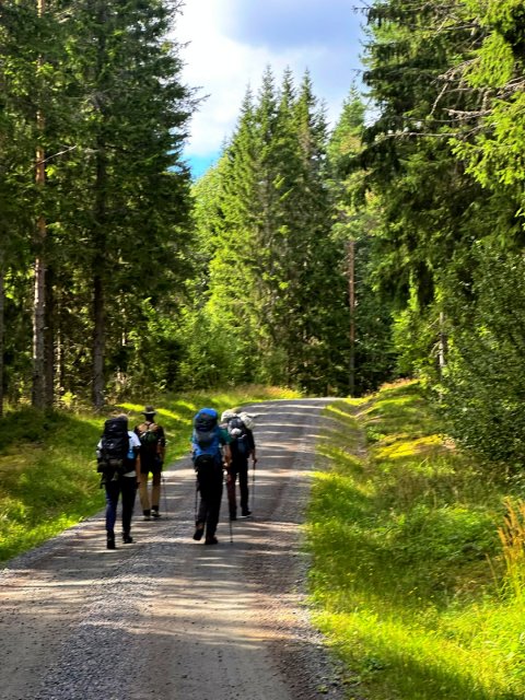 The Hammock Trail Sweden - 1392