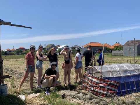 Green Bikes Bali - Sanur - 1256