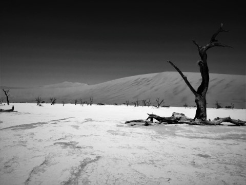 Namib Naukluft Park  - 242