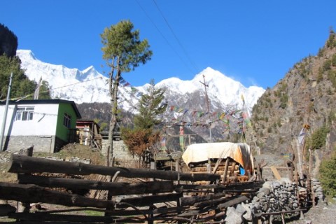 Nar Phu Valley Culinary And Wellness Trek - 293