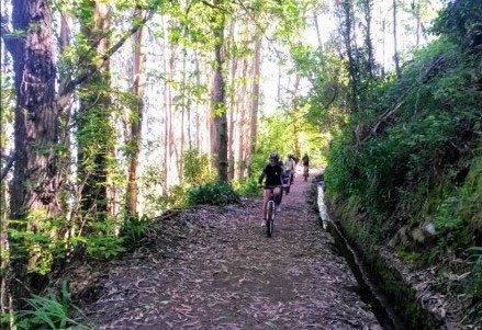 Adventure Travel In Madeira - 298