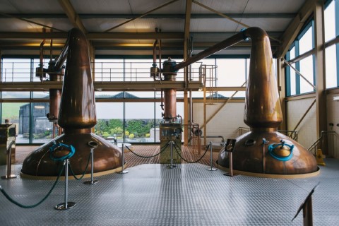 Dm Executive Travel - 230