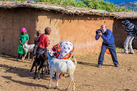 Domus Aurea Safari Company Limited - 1186