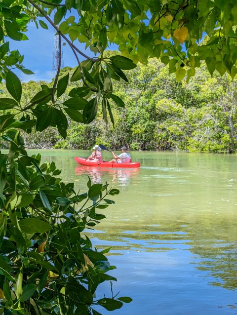 Secret Paradise Maldives - 277