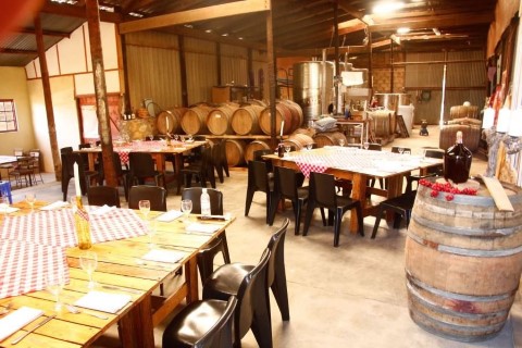 Old 4x4 Montagu Pass And Wine Tasting - 249