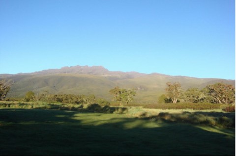Mount Kenya - 115