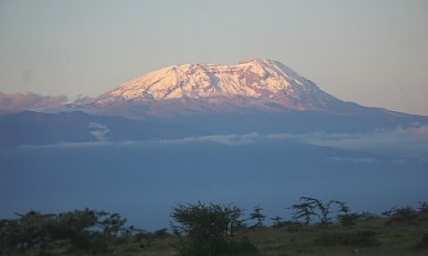 Domus Aurea Safari Company Limited - 1186