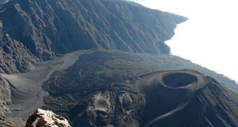 Domus Aurea Safari Company Limited - 1186