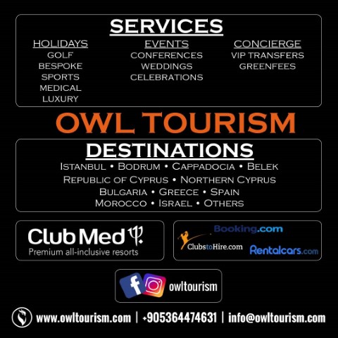 Owl Tourism - 87