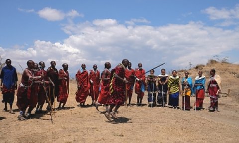 Domus Aurea Safari Company Limited - 1186