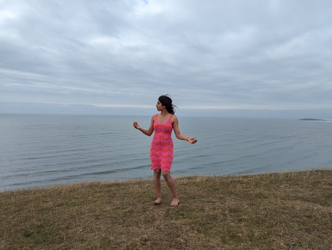 The Gower Guided Tour - Mumbles, Three Cliffs And Worms Head - 1304