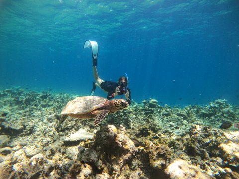 Secret Paradise Maldives - 277