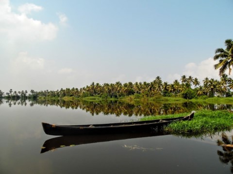 Kerala Backwaters - 132