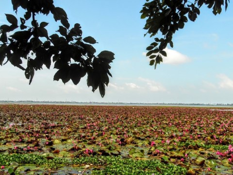 Eco Trails Kerala