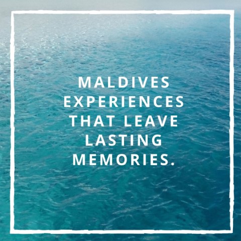 Secret Paradise Maldives - 277