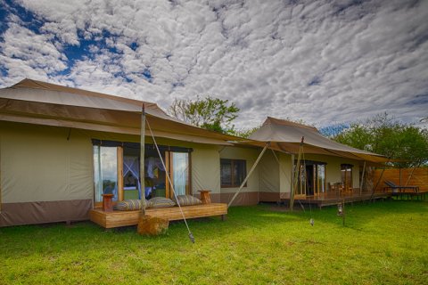 Passionate Guides Tanzania - 1156