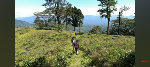 The Pekoe Trail Stage 1 - 1162